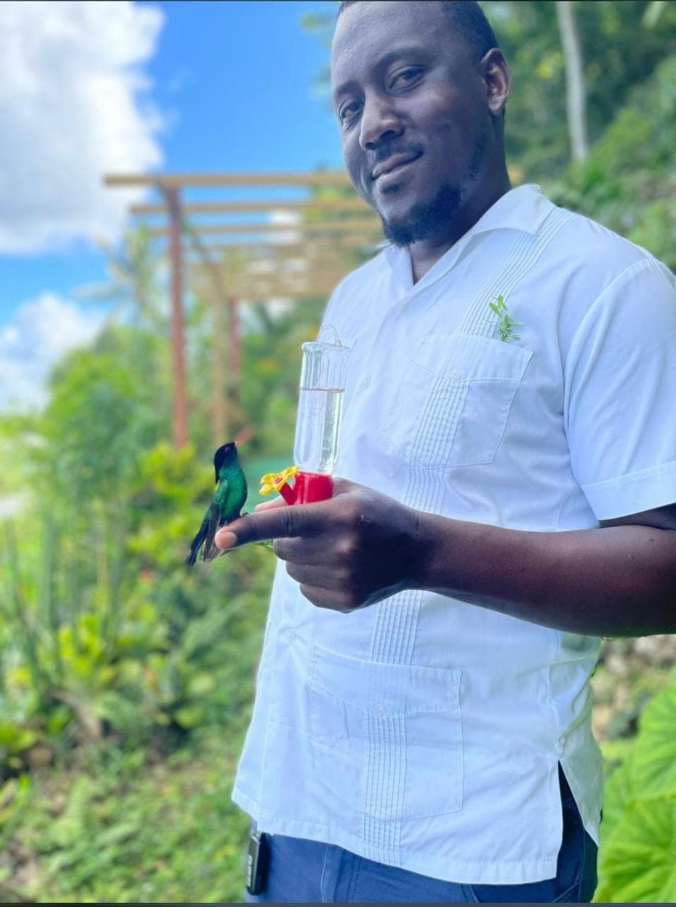 Di Island Guru Owner
