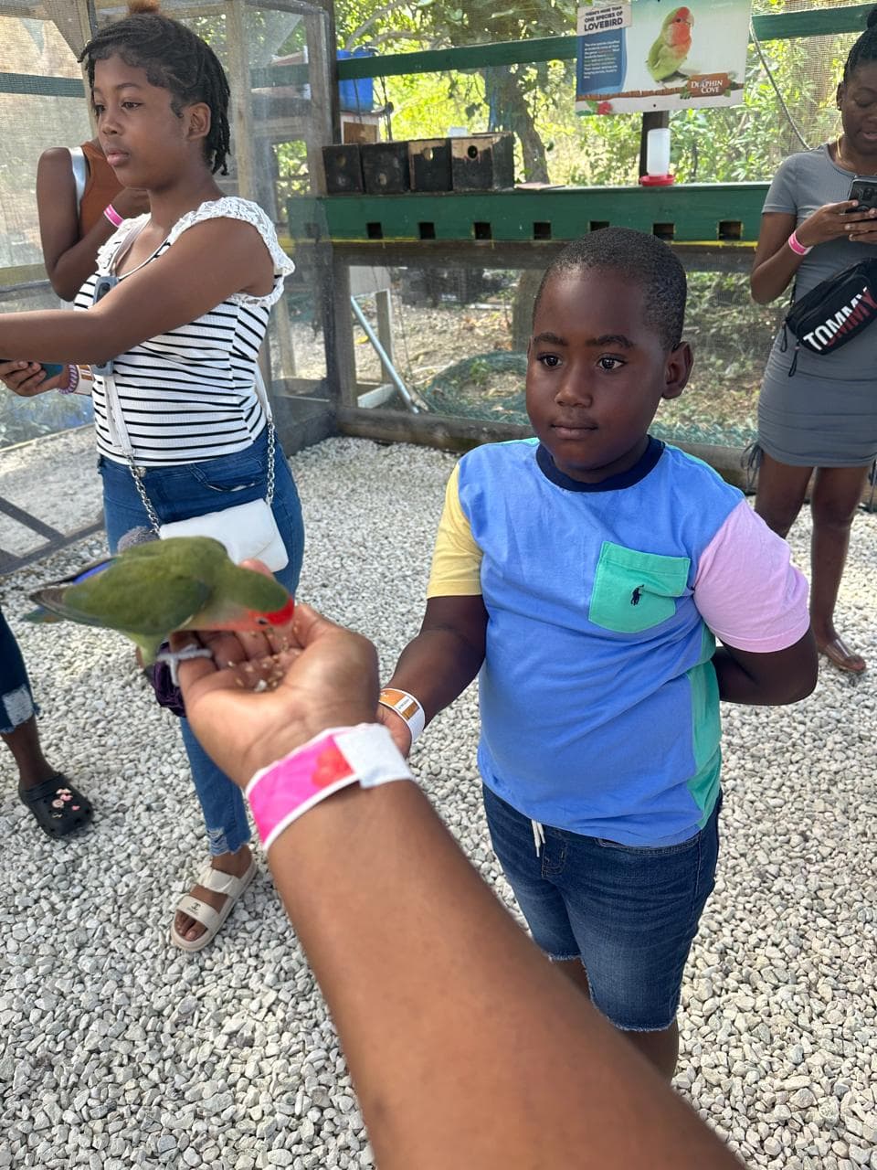 Jamaica Moment